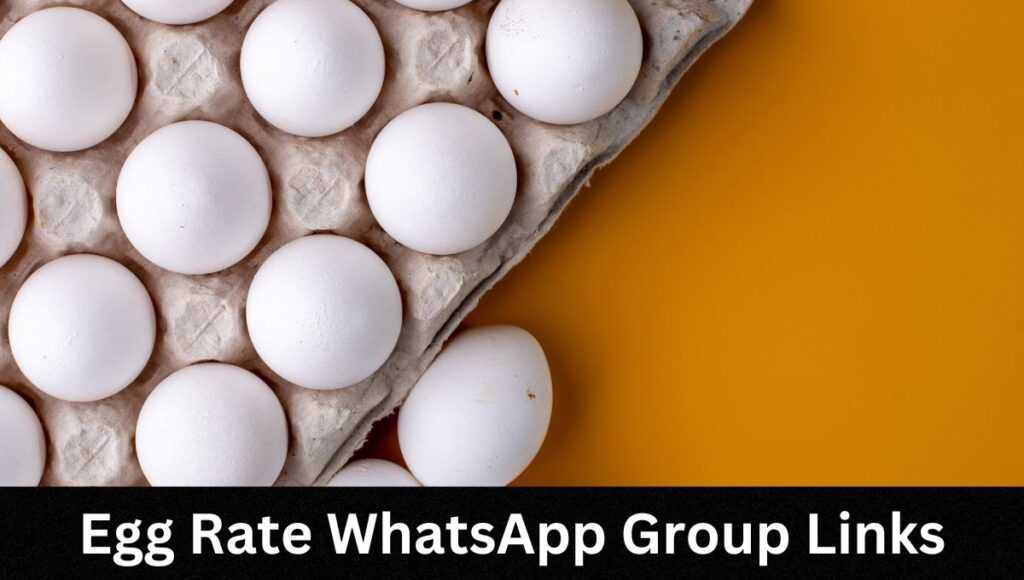 Egg Rate Today WhatsApp Group Links