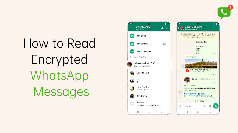 How to Read an Encrypted Whatsapp Message